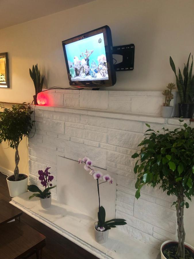 Quiet-Comfy 3 Bedroom Home On A Tree Lined Street In Kits Vancouver Extérieur photo